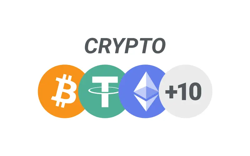 Process fast and anonymous transactions via popular digital coins with the crypto payment alternative at Basswin.