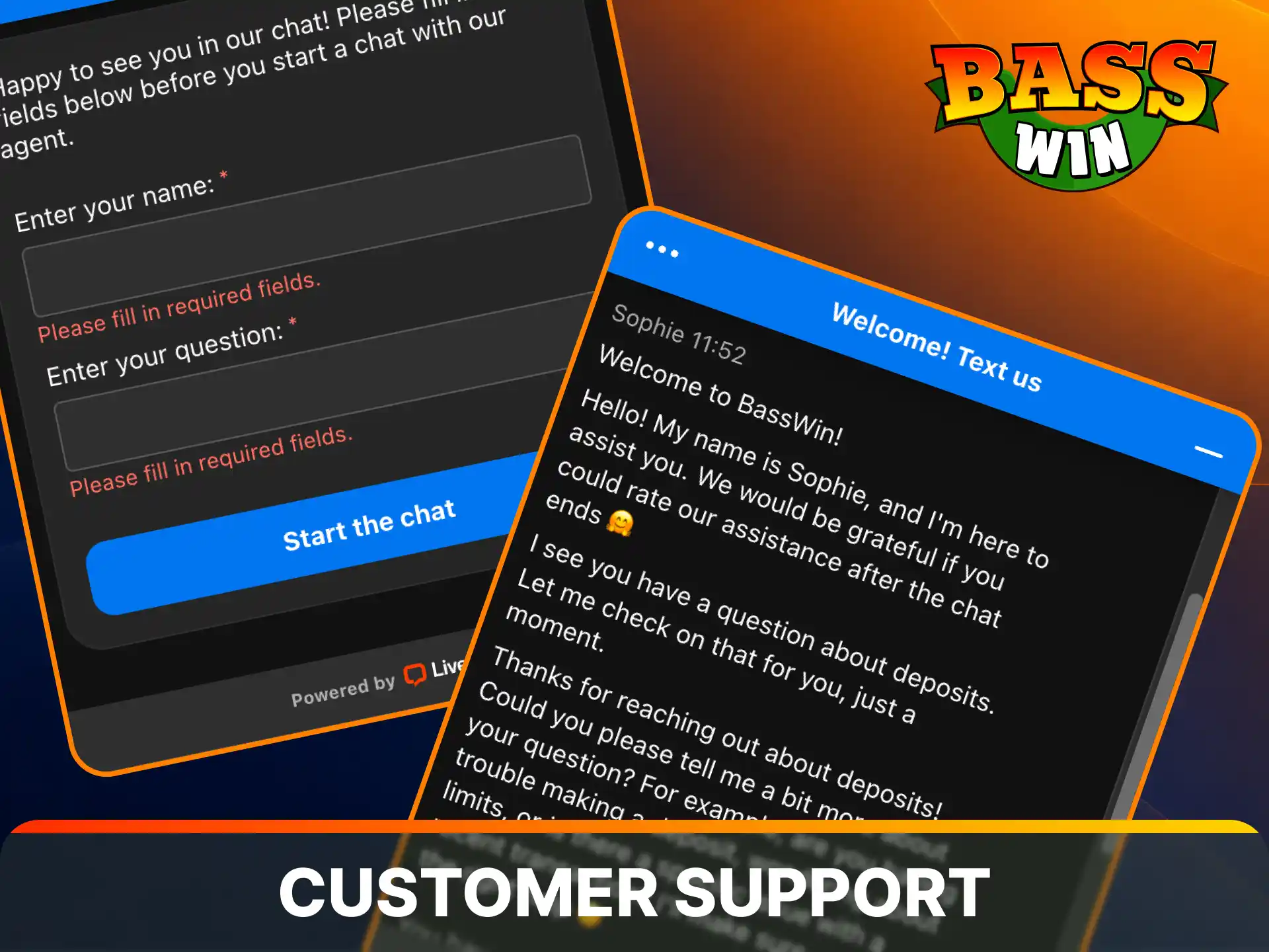 Contact professional help desk managers using the official customer support contacts at Basswin.