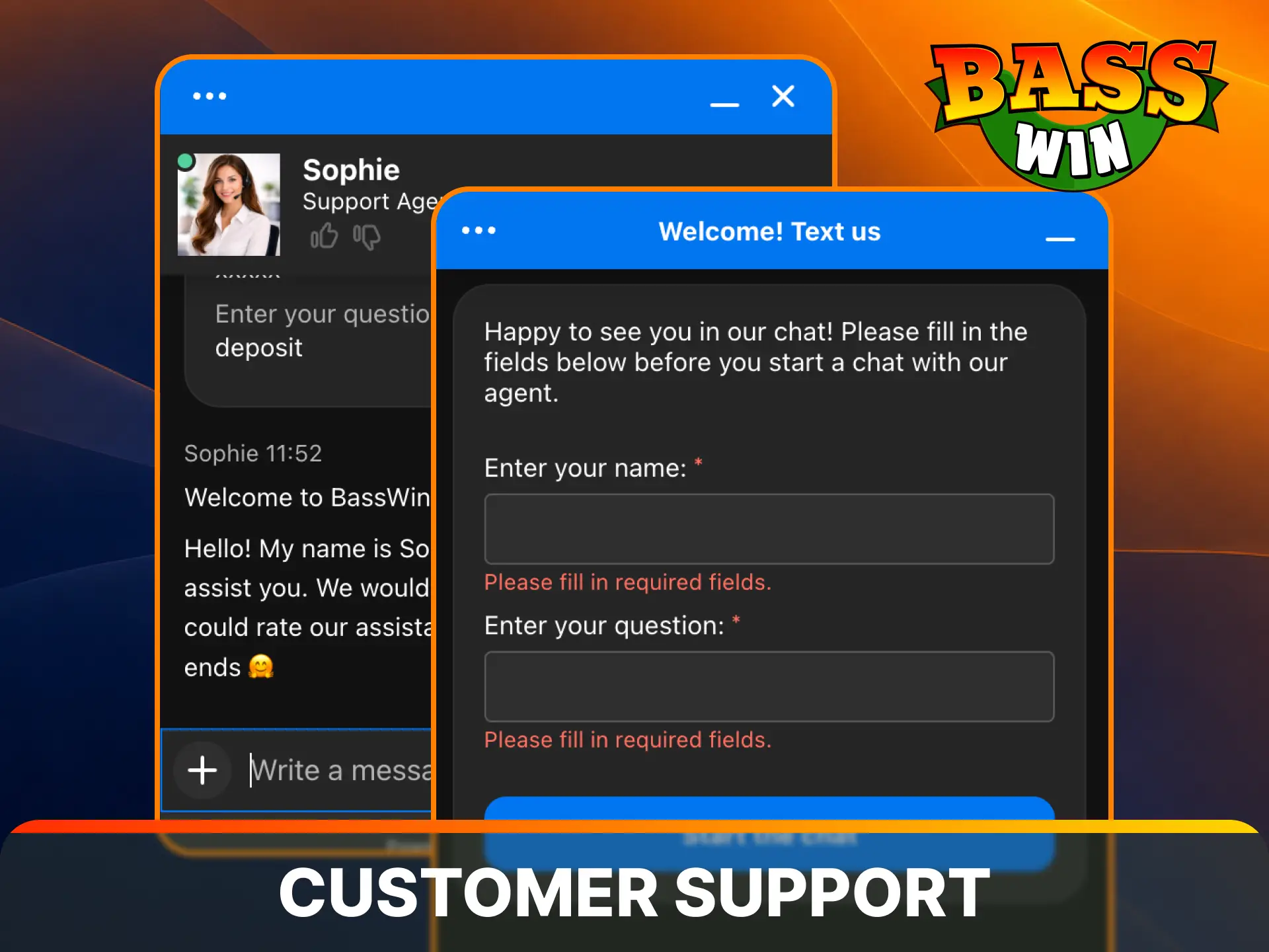 Reach out to professional managers for quick assistance using Basswin customer support.