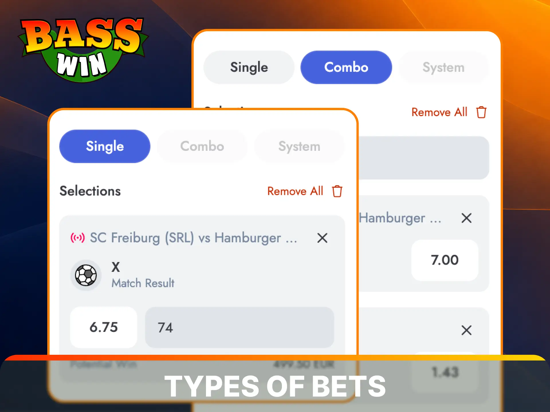 Learn about different wager combinations to maximize your winning potential at Basswin.